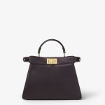 FENDI Peekaboo ISeeU Small Dark brown leather bag